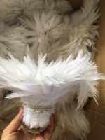 Plume de poulet teinte Artisanat Costume de fête Chapeau d'accessoire Carnaval Halloween Décoration de mariage