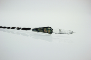 Kreatives Vintage Hochwertiges Handgefertigtes Sternenlicht-Glitzer Glas Dip Pen Geschenkset für Feiertage Kalligraphie Schreiben Zeichnen Kristallstift - Product Image 6