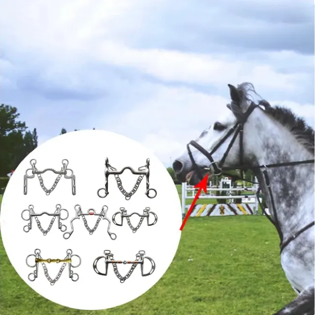 Horse Bit Sturdy Stainless Steel Bit Carving Fine Workmanship for Horse Riding for Equestrian Performance Equestrian Supplies