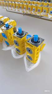 סאני עגור כוח להמריא רב-שלב ציוד משאבת עבור zhongian 50 טון מנוף הידראולי משאבות - Product Image 6