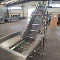Automatische transportband luchtbellen bladgroente spuitreinigingsapparatuur fruit bubbelwasmachine tomaat appel wasmachine