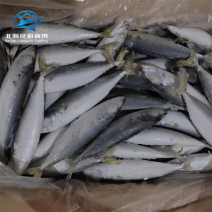 Alta Qualidade Fresh Frozen Pacific Whole <span class=keywords><strong>Round</strong></span> Cavala Peixe Vivo para Venda a Preços de Atacado - Product Image 3