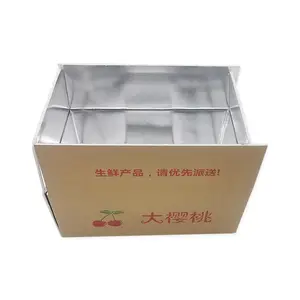 Pabrik Cina kemasan kotak kardus harga pabrik pemasok kotak transportasi insulasi untuk pengiriman makanan beku