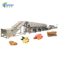 Shepody Volautomatische Groentefruit Sortering Wasdroogverwerkingslijn Fruitgroente Wasmachine Verwerkingsmachines Lijn