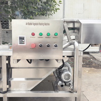 YOUBAN Commerciële Bubbelwasmachine Industriële Groente- en Fruitreinigingsmachine Met Ozon Desinfectiefunctie