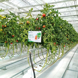 Bolsas de Cultivo de Coco Resistentes a los Rayos UV para Fresas, Venta Directa de Fábrica, Económicas, Duraderas, Especiales para Invernadero - Product Image 6