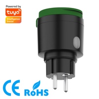 Prise électrique intelligente Tuya allemande 16A EU WiFi avec télécommande et moniteur d'énergie IP44 extérieur ROHS pour