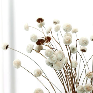 Chrysanthème <span class=keywords><strong>bouton</strong></span> de fleur <span class=keywords><strong>séchée</strong></span> de haute qualité, fleur éternelle pour mariage, fête des mères, présenté dans un coffret cadeau, matériaux floraux - Product Image 6