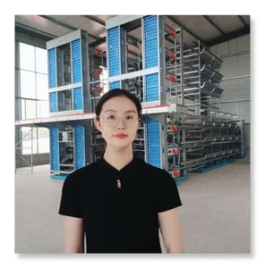 Sistema <span class=keywords><strong>de</strong></span> equipo <span class=keywords><strong>de</strong></span> cría <span class=keywords><strong>de</strong></span> aves <span class=keywords><strong>de</strong></span> corral <span class=keywords><strong>de</strong></span> huevo automático galvanizado en caliente Jaulas <span class=keywords><strong>de</strong></span> pollo tipo H Jaula <span class=keywords><strong>de</strong></span> <span class=keywords><strong>gallo</strong></span> automatizada Equipo <span class=keywords><strong>de</strong></span> granja avícola - Product Image 1