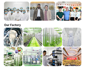 Bán buôn Halal thể thao bổ sung thành phần phòng tập thể dục cơ bắp hỗ trợ Vegan đậu protein peptide bột - Product Image 5