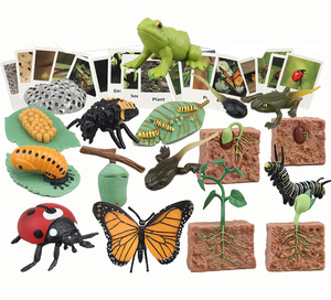 ของเล่นการเรียนรู้และพัฒนาการทางชีวิต, ของเล่นมอนเตสซอรี่ ตุ๊กตาสำหรับกบ, ผีเสื้อ, เต่าทอง, ชุดปลูกต้นไม้, ของขวัญสำหรับเด็กหญิงและเด็กชาย - Product Image 1