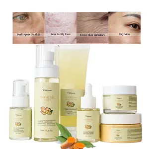 Custom Your Own Label New Skincare Products Organic Turmeric Vitamin C Face Moisturizing Removing Pimples Wrinkles Skincare Set