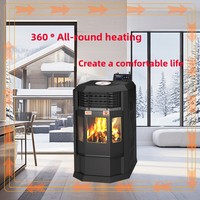 Poêle à granulés, Chauffage à biomasse, Cheminée à bois, Poêle à bois, Brûleur à bois, Autonome, Acier, Moderne, Chauffage intérieur, Four domestique