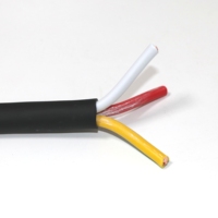 Kabel Daya RVV 12AWG 2/3/4 Inti Tembaga Terlilit PVC 300/500V untuk CCTV dan Sistem Keamanan