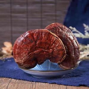 Cogumelos orgânicos <span class=keywords><strong>Lingzhi</strong></span> Ganoderma lucidum erva para alimentos e bebidas - Product Image 3