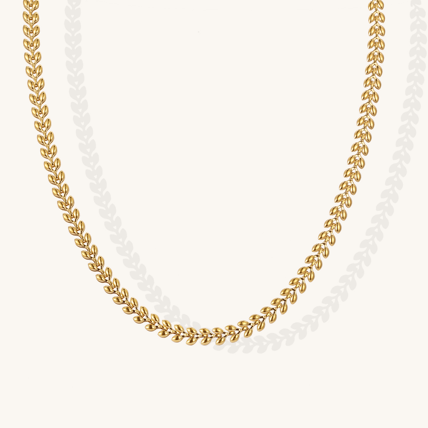 TN0022-Or