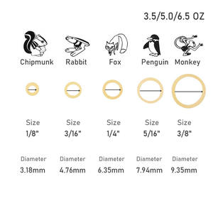 Consommables dentaires, 5000 pièces/boîte, Pack de Zoo <span class=keywords><strong>orthodontique</strong></span>, élastiques en caoutchouc, bretelles en Latex à haute élasticité, <span class=keywords><strong>Force</strong></span> 3.5 / 5.0 / 6.5 - Product Image 3