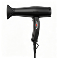 Sèche-cheveux professionnel pour salon de coiffure, moteur DC sans balais 2100W, sèche-cheveux ionique avec buse concentratrice, outil de coiffage