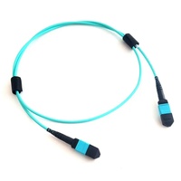 Kabel Fiber Optik MPO OM4 OM3 Multimode MPO Female Ke Female Trunk Cable 12 Fiber FTTH