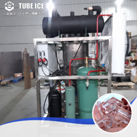 Máquina de hielo en tubo sólido de 30 toneladas 10t CBFI para bebidas frías