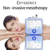 Venta caliente Cuidado de la piel facial Fabricante D Cool Ems Electroporación Mesoterapia Rejuvenecimiento DE LA PIEL Refrigeración Máquina de tratamiento facial
