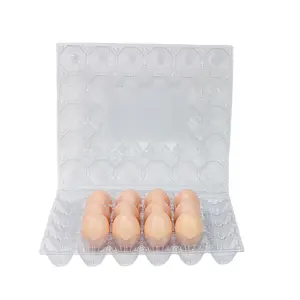 Nhà máy cung cấp mini khay trứng bao bì giá Nam Phi