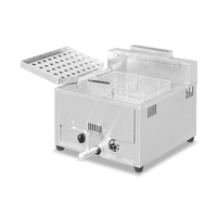 Freidora de Gas LPG de Acero Inoxidable de Grado Comercial, de 1 Tanque, para Mostrador, Freidora de Alta Temperatura, Ahorro de Energía, 2 Canastas, para Pollo Frito