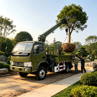 Grue de levage 3 et 4 tonnes à haute efficacité, durable et stable, certifiée CE, pour l'aménagement paysager urbain et le retransplantage d'arbres – Vente directe usine