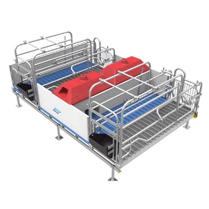Enclos <span class=keywords><strong>de</strong></span> maternité durable en acier galvanisé pour porcs avec mangeoire supplémentaire pour porcelets – Équipement complet pour l'élevage porcin - Product Image 5