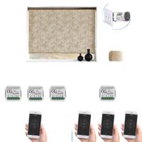 Module d'interrupteur intelligent Tuya Zigbee à intensité variable 1/2 voie avec télécommande via application
