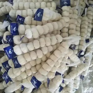 <span class=keywords><strong>Ajo</strong></span> Fresco Blanco Puro de Alta Calidad Chino, Saludable, Perfecto para Cocinar, en Bolsa de Malla para Venta en el Mercado - Product Image 2