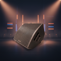 Haut-parleur de monitoring de scène passif de haute qualité 15 pouces 2 voies à aimant néodyme, système audio professionnel 400W-1600W, en bouleau russe
