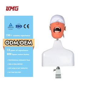 Modelo de Educación Dental: Maniquíes de Cabeza y Torso para Práctica y Entrenamiento Odontológico - Product Image 6
