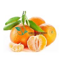 Hami — poudre de jus de melon, poudre instantanée