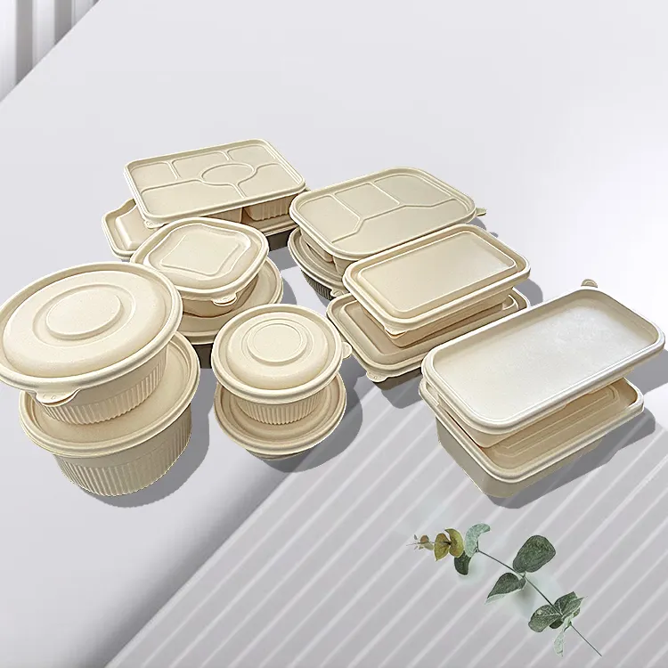 Eco Friendly Lunch Food Container Disposable 2 3 Compartment Food Container Corn starch Disposable Lunch Boxes