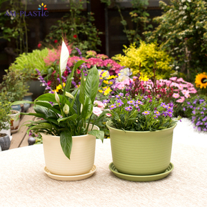 Vasi Moderni Rotondi in Plastica PP <span class=keywords><strong>per</strong></span> Semina, Colore Personalizzabile, <span class=keywords><strong>per</strong></span> Piante Grasse, Talee e Trapianti, Uso Domestico e Giardino - Product Image 4