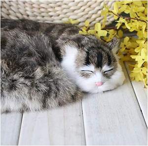 Jouet en <span class=keywords><strong>peluche</strong></span> chaton <span class=keywords><strong>chat</strong></span> de simulation doux et câlin, chaton qui <span class=keywords><strong>ronronne</strong></span>, <span class=keywords><strong>chat</strong></span> tigré, jouet pour cadeau - Product Image 3