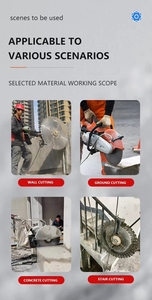 Lich Dasoline Engine Scie murale pour les projets de démolition de béton en plein air - Product Image 6