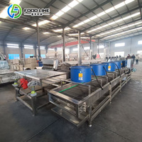 Nieuwe automatische productielijn voor het maken van diepvriesfrieten & aardappelchips, fruit & groente friteuse, 200kg/500kg/1000kg
