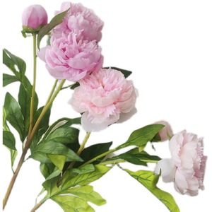 Flores de Peonía de Seda de 30cm-100cm, Color Rosa, Blanco y Champán, Decoración para Bodas y Hogar, Flores Artificiales - Product Image 5