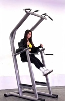Offre Spéciale : Station Commerciale Multifonctionnelle pour Tractions, Abdominaux, Relevé de Jambes et Musculation du Torse et du Dos – Équipement de Force pour Salle de Sport – Direct Usine