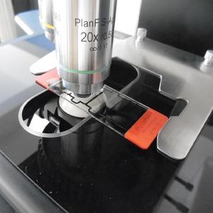 Chambre de comptage du sperme animal Glissière de comptage du sperme jetable pour usage vétérinaire - Product Image 5