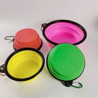 Bol pliable en silicone écologique pour animaux de compagnie, bouteilles d'eau pliables colorées pour chiens, conteneur portable pour nourriture et eau pour chats