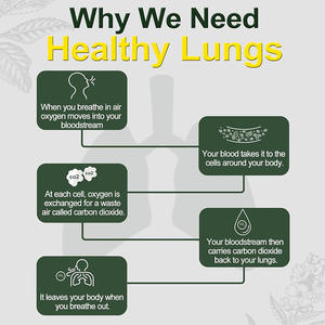 Vente en gros de bonbons santé quotidiens Suppléments respiratoires en feuilles de molène 1000 mg Gommes de molène 9 en un pour poumons - Product Image 3