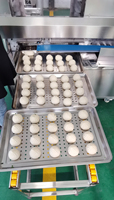 Machine chinoise commerciale Baozi pour fabriquer des brioches à la vapeur, Machine automatique pour fabriquer des petits pains