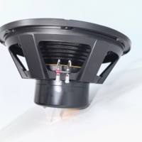 Subwoofer Profesional de 18 Pulgadas con Cono de Fibra de Carbono y Neodimio para Sistemas de Sonido Line Array