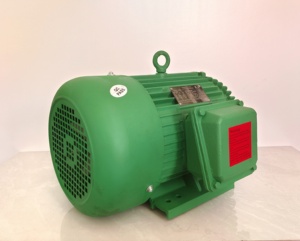 มอเตอร์เหนี่ยวนำ 3 เฟส ประสิทธิภาพสูง 1725 รอบต่อนาที 230/460 โวลต์ 405T 100 แรงม้า - Product Image 1