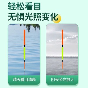 JUCHIWANG High Sensitivity Fishing Float R06-2 Vertical Buoy For River Use - Product Image 3