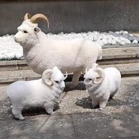 Adorno de oveja de espinillas auténtico, modelo de cabra Argali grande, artesanía decorativa, suministros de decoración de jardín