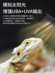 Reptile UVA + UVB Spectre Complet LED Lampe UV 10.0/20.0-<span class=keywords><strong>Tortue</strong></span> Lézard Serpent Lumière pour Terrarium & <span class=keywords><strong>Vivarium</strong></span> - Product Image 6